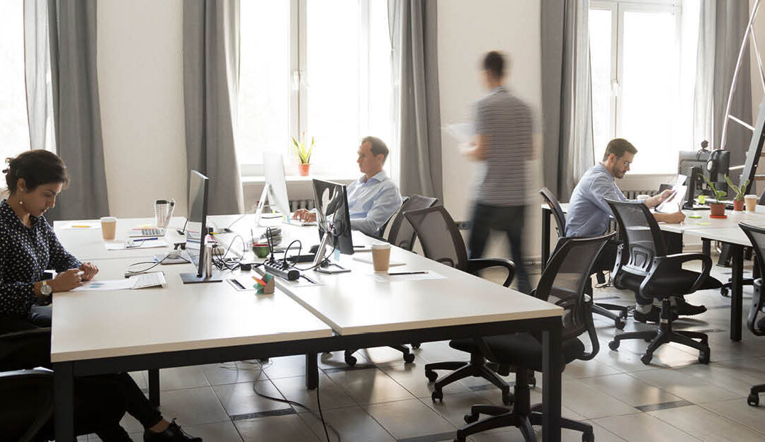 people hard at work in an open office